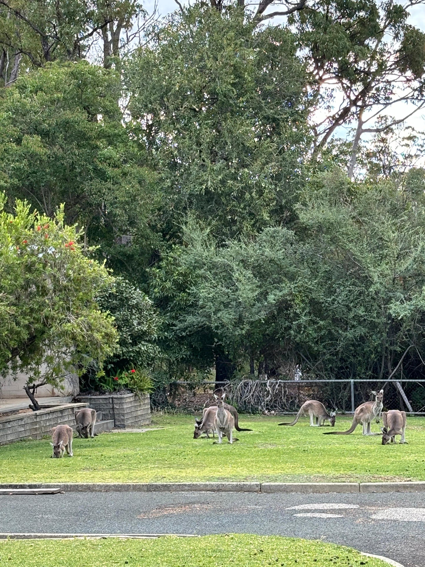 Fun Workshop and Tour at Perth Observatory